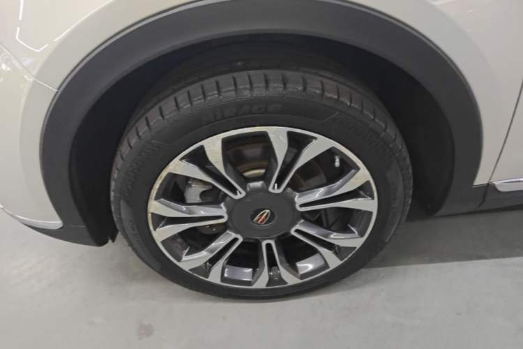 Used Hongqi HS5 2019 2.0T Smart Connect Flagship All-Wheel-Drive Version Exterior 4