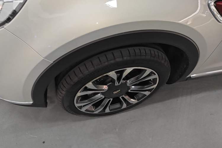 Used Hongqi HS5 2019 2.0T Smart Connect Flagship All-Wheel-Drive Version Exterior 4