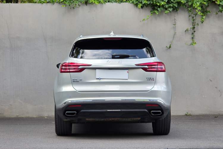 Used Hongqi HS5 2019 2.0T Smart Connect Flagship All-Wheel-Drive Version Exterior 4