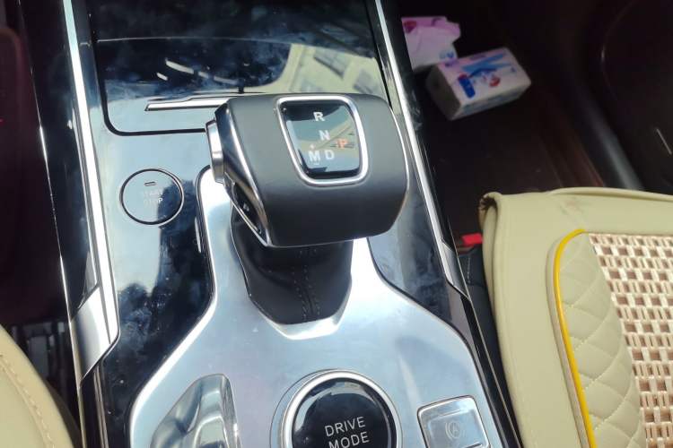 Used Hongqi HS5 2019 2.0T Smart Connect Flagship All-Wheel-Drive Version Gear Lever