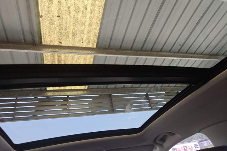 Used Hongqi HS5 2019 2.0T Smart Connect Flagship Edition Headliner