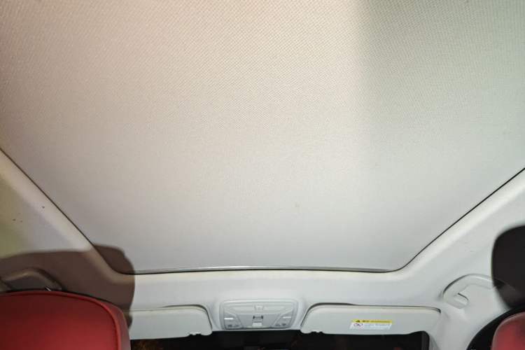 Used Hongqi HS5 2019 2.0T Smart Connect Flagship Edition Headliner
