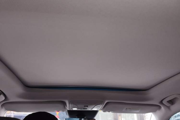 Used Hongqi HS5 2019 2.0T Smart Connect Flagship Edition Headliner