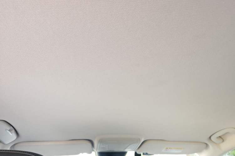 Used Hongqi HS5 2019 2.0T Smart Connect Flagship Edition Headliner