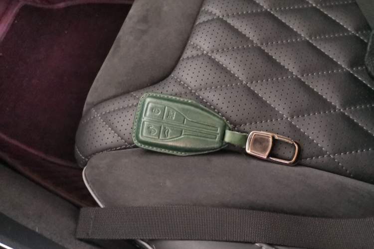 Used Hongqi HS5 2019 2.0T Smart Connect Flagship Edition Interior 1