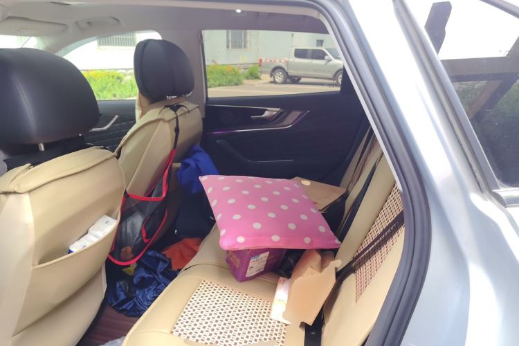 Used Hongqi HS5 2019 2.0T Smart Connect Flagship All-Wheel-Drive Version Left Rear Seat