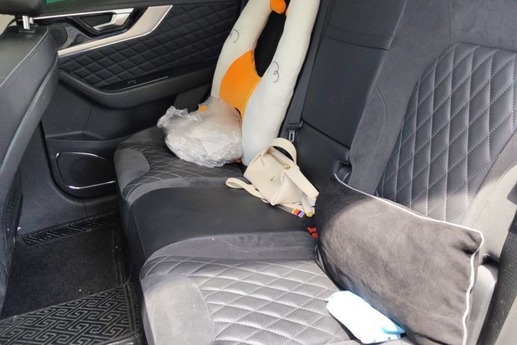Used Hongqi HS5 2019 2.0T Smart Connect Flagship All-Wheel-Drive Version Left Rear Seat
