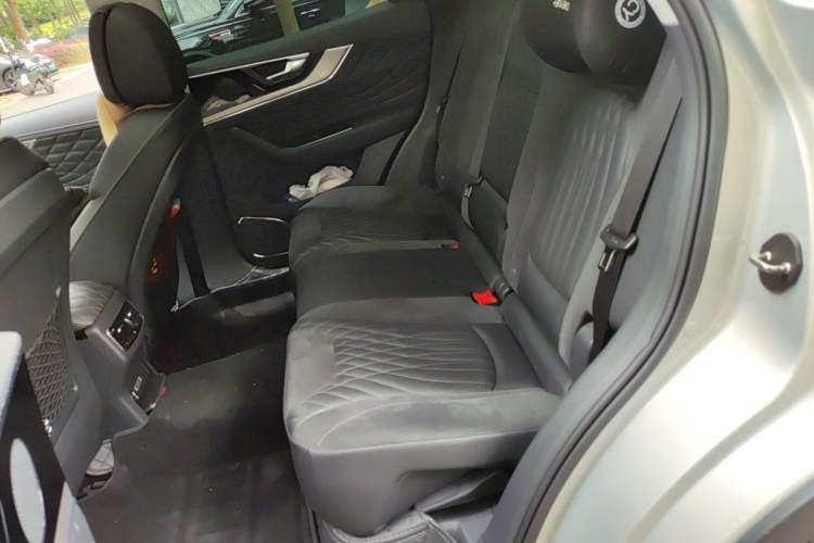 Used Hongqi HS5 2019 2.0T Smart Connect Flagship All-Wheel-Drive Version Left Rear Seat