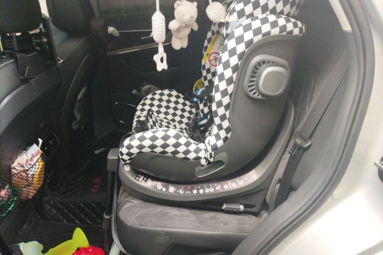Used Hongqi HS5 2019 2.0T Smart Connect Flagship All-Wheel-Drive Version Left Rear Seat