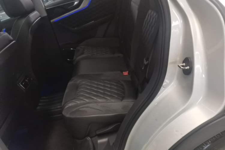 Used Hongqi HS5 2019 2.0T Smart Connect Flagship Edition Left Rear Seat