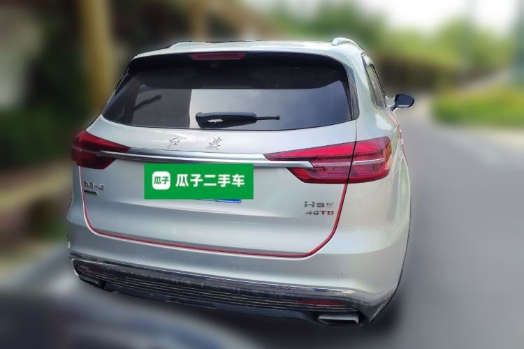 Used Hongqi HS5 2019 2.0T Smart Connect Flagship All-Wheel-Drive Version Rear
