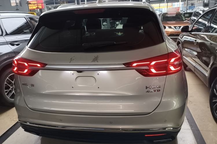 Used Hongqi HS5 2019 2.0T Smart Connect Flagship Edition Rear