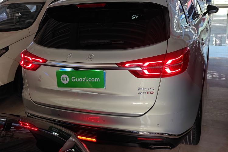 Used Hongqi HS5 2019 2.0T Smart Connect Flagship Edition Rear