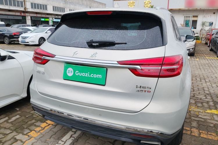 Used Hongqi HS5 2019 2.0T Smart Connect Flagship Edition Rear