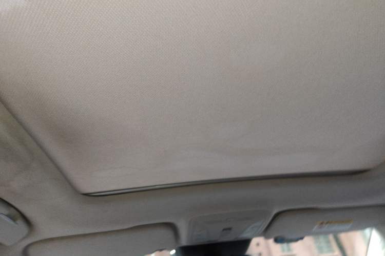 Used Hongqi HS5 2019 2.0T Smart Connect Flagship Edition Headliner