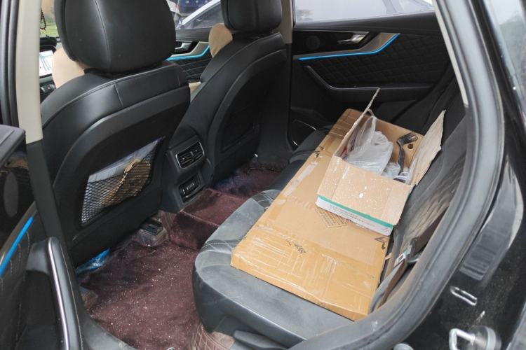 Used Hongqi HS5 2019 2.0T Smart Connect Flagship Edition Left Rear Seat