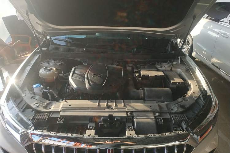 Used Hongqi HS5 2019 2.0T Smart Connect Flagship All-Wheel-Drive Version Engine Bay