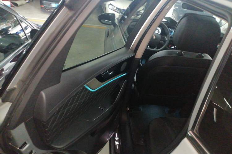 Used Hongqi HS5 2019 2.0T Smart Connect Flagship Edition Left Rear Door Interior