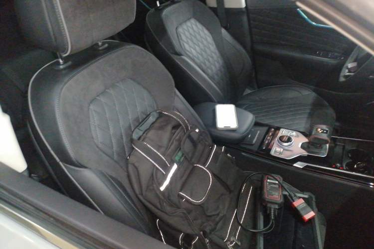Used Hongqi HS5 2019 2.0T Smart Connect Flagship Edition Right Front Seat