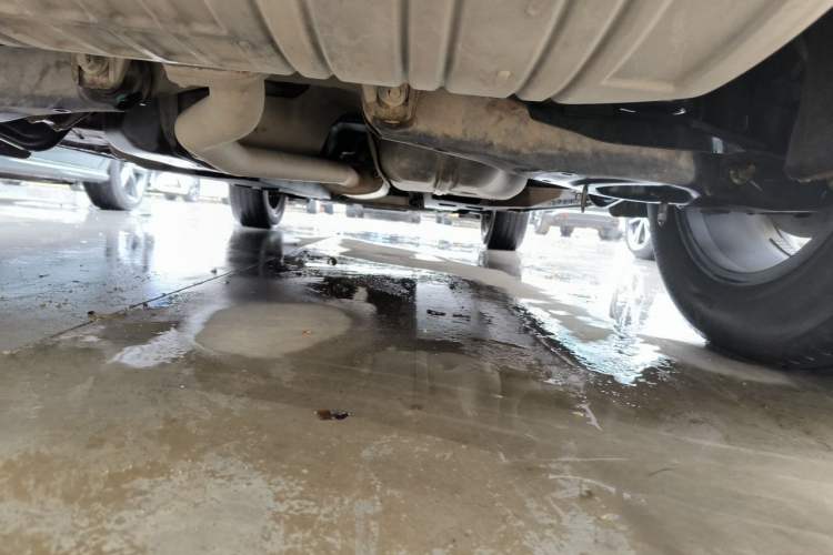 Used Hongqi HS5 2019 2.0T Smart Connect Flagship Edition Chassis Rear