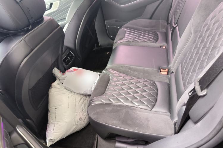 Used Hongqi HS5 2019 2.0T Smart Connect Flagship Edition Left Rear Seat