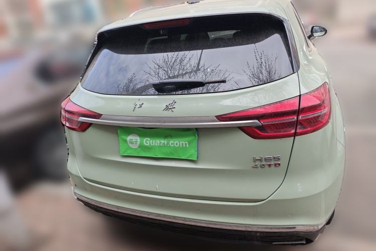 Used Hongqi HS5 2019 2.0T Smart Connect Flagship All-Wheel-Drive Version Rear