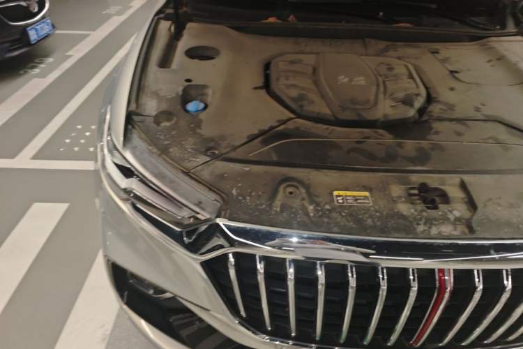 Used Hongqi HS5 2019 2.0T Smart Connect Flagship Edition Engine Bay Right