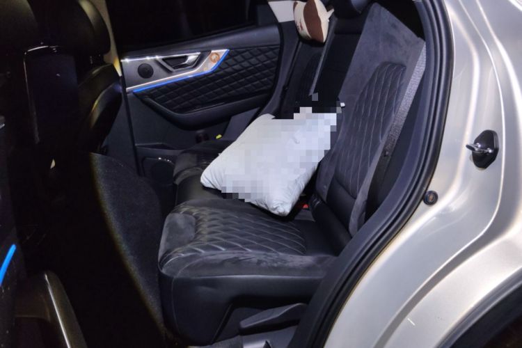 Used Hongqi HS5 2019 2.0T Smart Connect Flagship All-Wheel-Drive Version Left Rear Seat