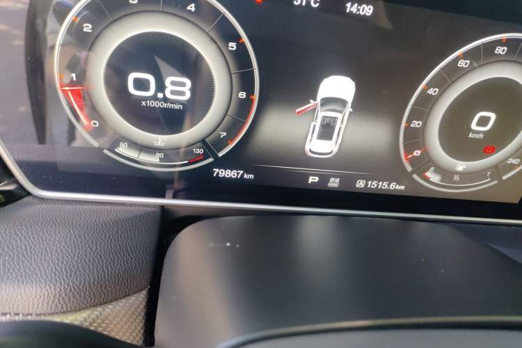 Used Hongqi HS5 2019 2.0T Smart Connect Flagship Edition Odometer Close Up