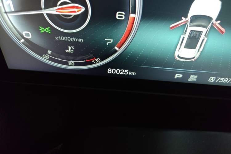 Used Hongqi HS5 2019 2.0T Smart Connect Flagship All-Wheel-Drive Version Odometer Close Up