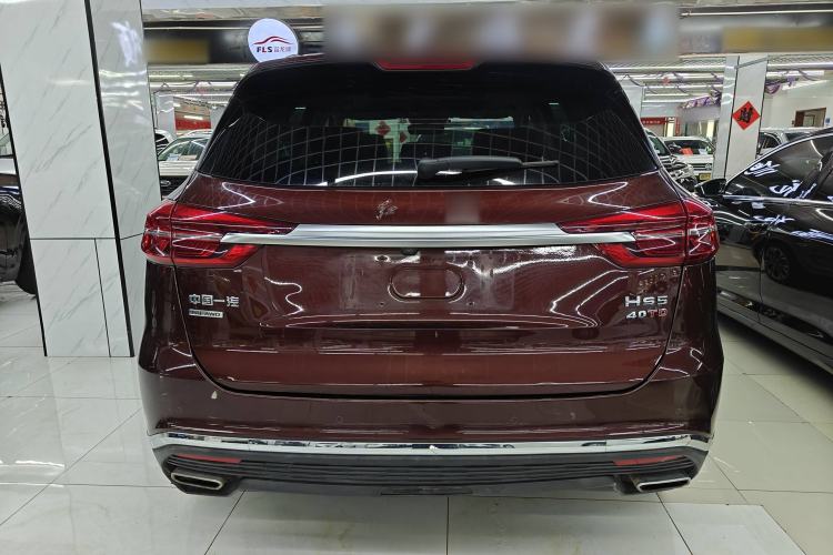Used Hongqi HS5 2019 2.0T Smart Connect Flagship All-Wheel-Drive Version Exterior 5