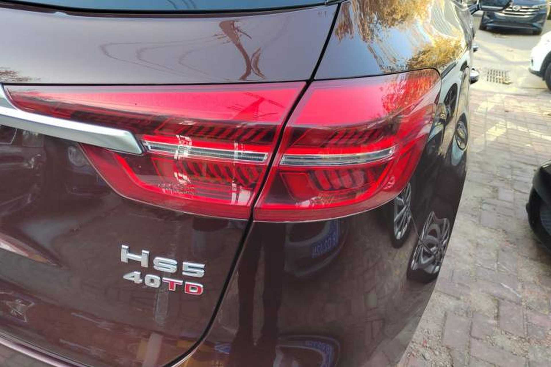 Used Hongqi HS5 2019 2.0T Smart Connect Flagship All-Wheel-Drive Version Exterior 6