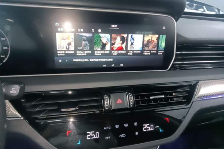 Used Hongqi HS5 2019 2.0T Smart Connect Flagship Edition Audio And AC Panel