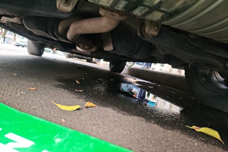 Used Hongqi HS5 2019 2.0T Smart Connect Flagship Edition Chassis Rear