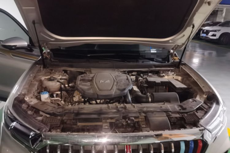 Used Hongqi HS5 2019 2.0T Smart Connect Flagship All-Wheel-Drive Version Engine Bay