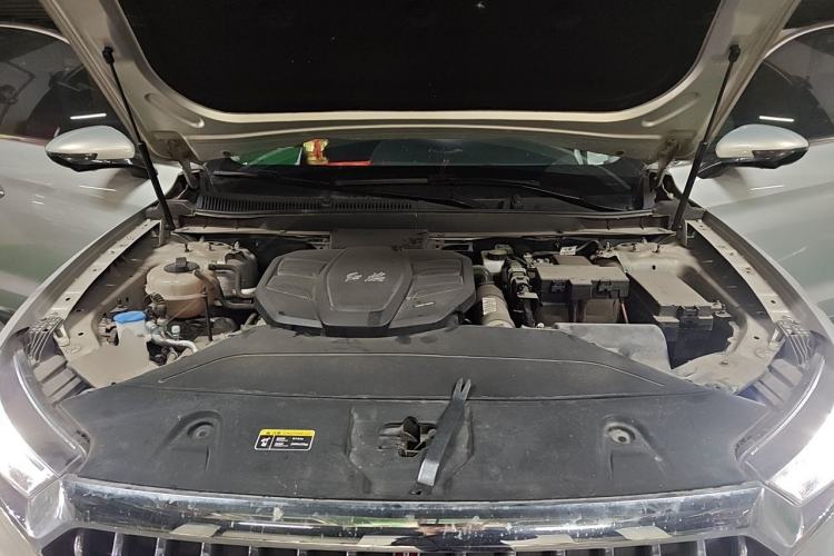 Used Hongqi HS5 2019 2.0T Smart Connect Flagship Edition Engine Bay