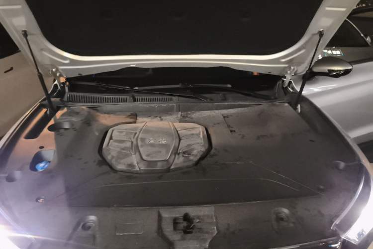 Used Hongqi HS5 2019 2.0T Smart Connect Flagship Edition Engine Bay