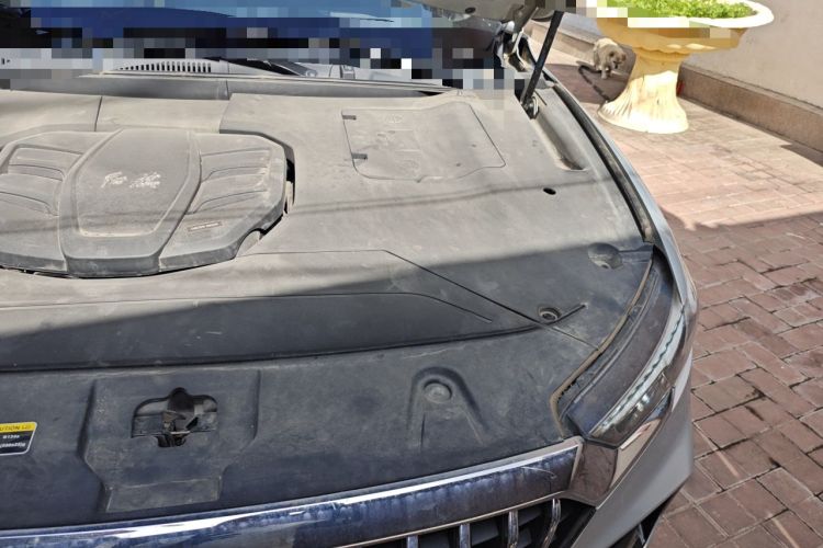 Used Hongqi HS5 2019 2.0T Smart Connect Flagship All-Wheel-Drive Version Engine Bay Left