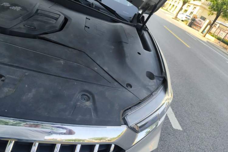 Used Hongqi HS5 2019 2.0T Smart Connect Flagship All-Wheel-Drive Version Engine Bay Left