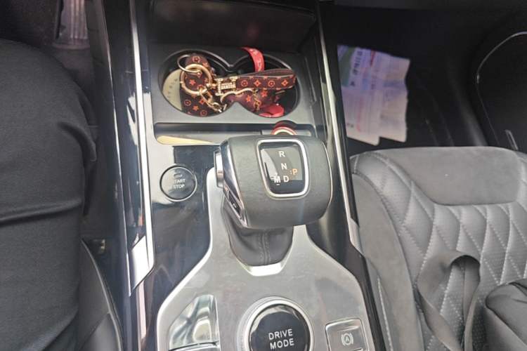 Used Hongqi HS5 2019 2.0T Smart Connect Flagship Edition Gear Lever