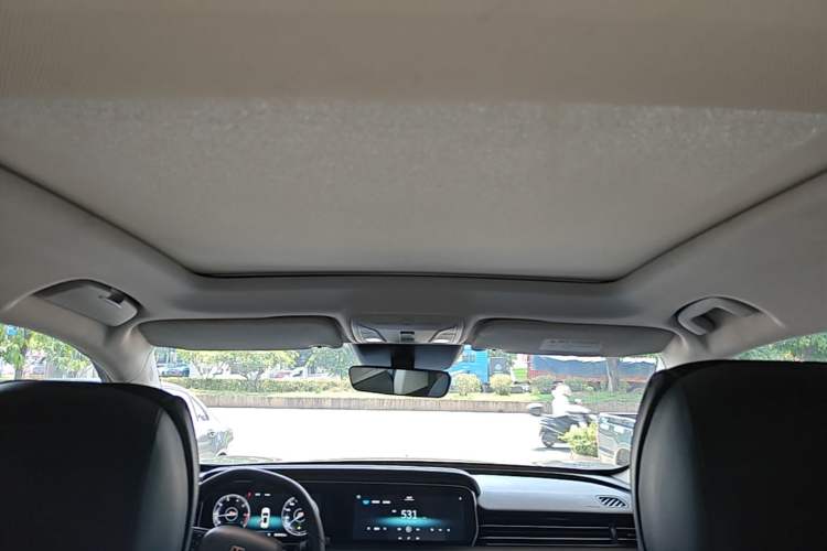 Used Hongqi HS5 2019 2.0T Smart Connect Flagship All-Wheel-Drive Version Headliner
