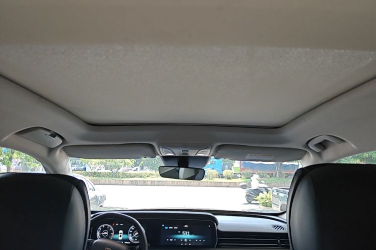 Used Hongqi HS5 2019 2.0T Smart Connect Flagship All-Wheel-Drive Version Headliner