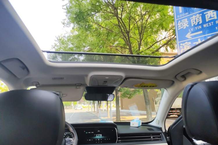 Used Hongqi HS5 2019 2.0T Smart Connect Flagship All-Wheel-Drive Version Headliner