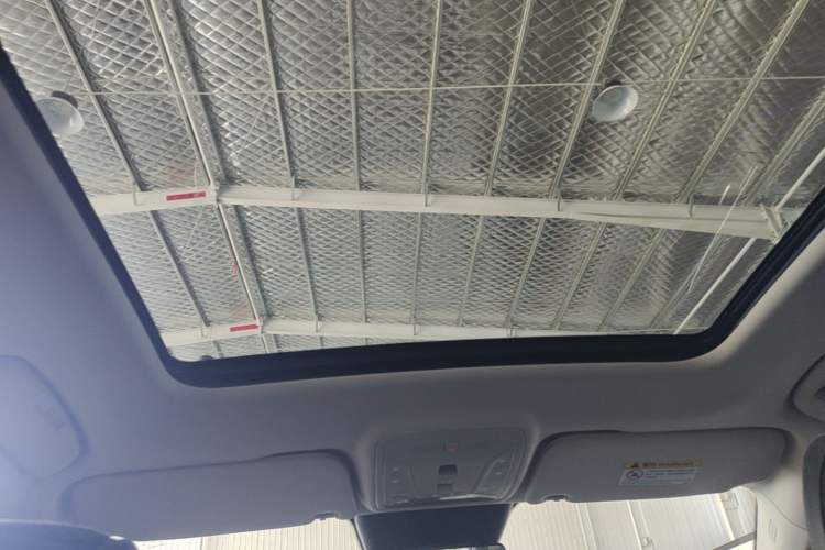 Used Hongqi HS5 2019 2.0T Smart Connect Flagship Edition Headliner