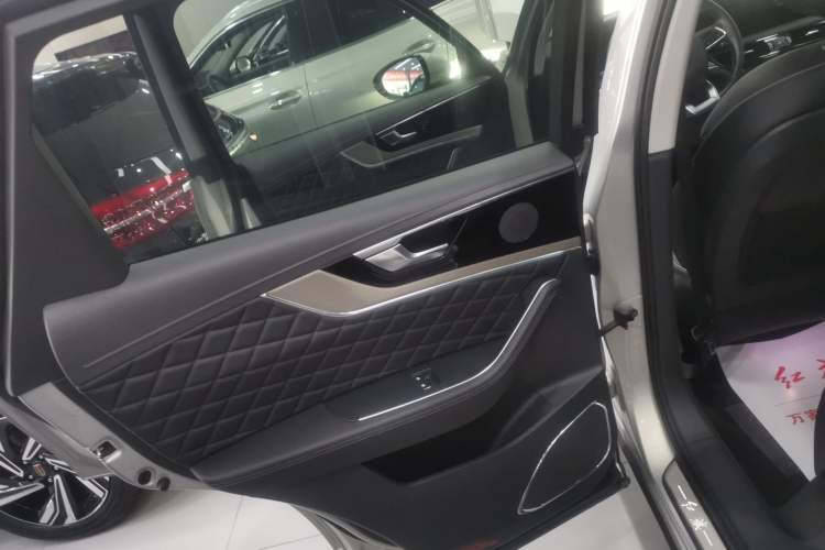 Used Hongqi HS5 2019 2.0T Smart Connect Flagship Edition Left Rear Door Interior