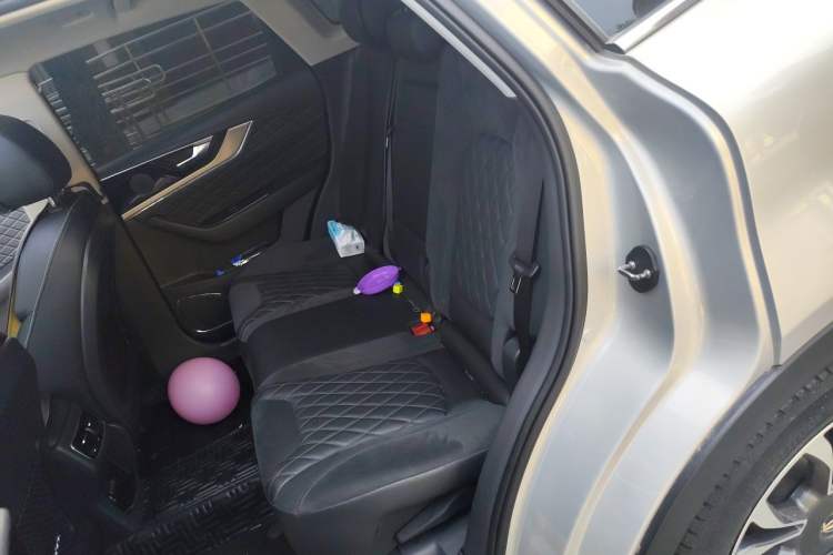 Used Hongqi HS5 2019 2.0T Smart Connect Flagship All-Wheel-Drive Version Left Rear Seat