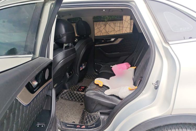 Used Hongqi HS5 2019 2.0T Smart Connect Flagship Edition Left Rear Seat