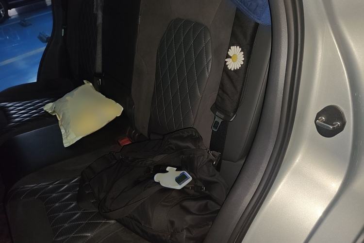 Used Hongqi HS5 2019 2.0T Smart Connect Flagship All-Wheel-Drive Version Left Rear Seat