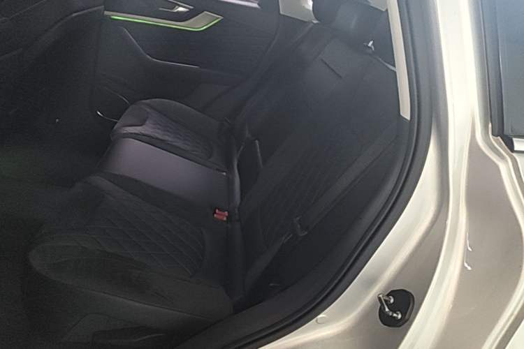 Used Hongqi HS5 2019 2.0T Smart Connect Flagship Edition Left Rear Seat