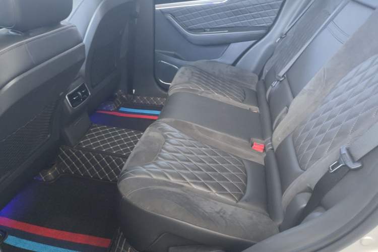 Used Hongqi HS5 2019 2.0T Smart Connect Flagship Edition Left Rear Seat
